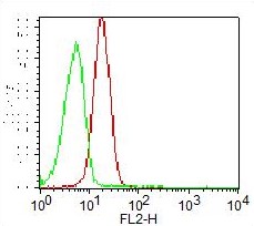 Monoclonal Antibody to CD78 (Clone: FN1)